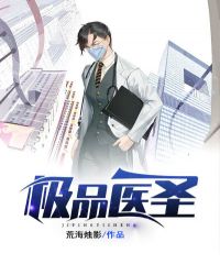 极品医圣全文免费下载